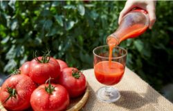 🍅【出店者紹介】白谷工房感謝祭 🍅 🍅【出店者紹介】白谷工房感謝祭 🍅