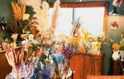 💐【出店者紹介】白谷工房感謝祭 💐 💐【出店者紹介】白谷工房感謝祭 💐