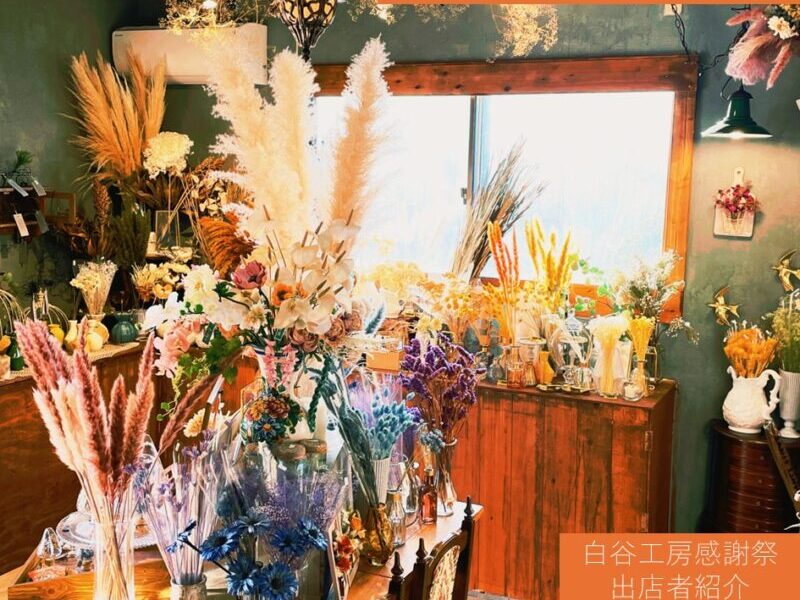 💐【出店者紹介】白谷工房感謝祭 💐