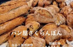 🥖【出店者紹介】白谷工房感謝祭 🥖 🥖【出店者紹介】白谷工房感謝祭 🥖